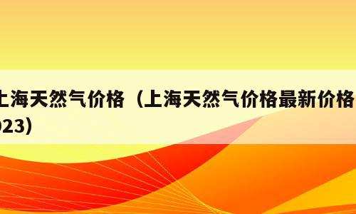 上海天然气价格（上海天然气价格最新价格2023）
