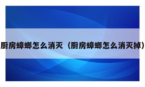 厨房蟑螂怎么消灭（厨房蟑螂怎么消灭掉）