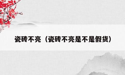 瓷砖不亮（瓷砖不亮是不是假货）