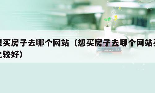 想买房子去哪个网站（想买房子去哪个网站买比较好）