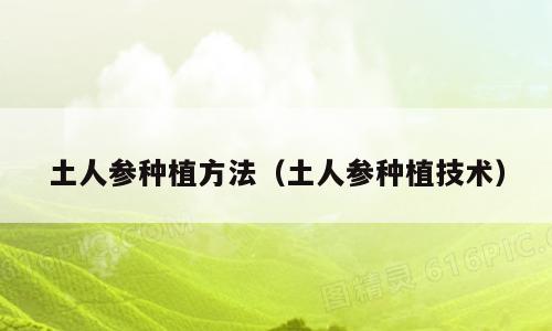 土人参种植方法（土人参种植技术）