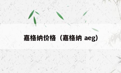 嘉格纳价格（嘉格纳 aeg）