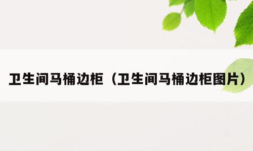 卫生间马桶边柜（卫生间马桶边柜图片）