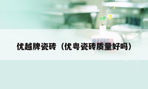 优越牌瓷砖（优粤瓷砖质量好吗）