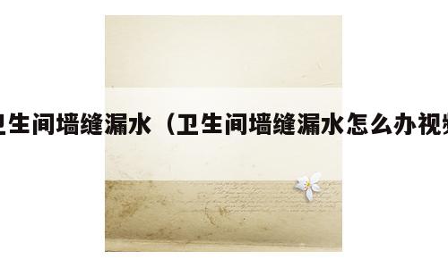 卫生间墙缝漏水（卫生间墙缝漏水怎么办视频）