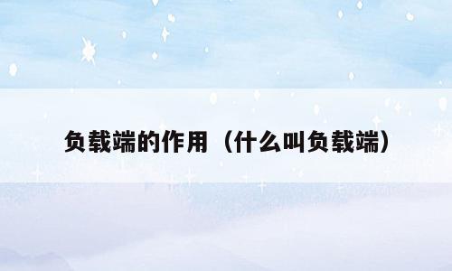 负载端的作用（什么叫负载端）
