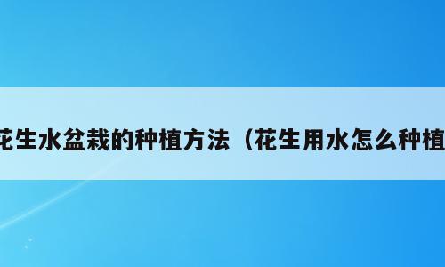 花生水盆栽的种植方法（花生用水怎么种植）