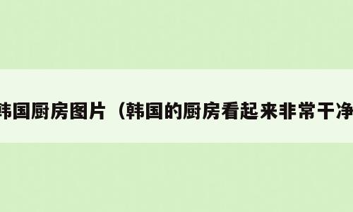 韩国厨房图片（韩国的厨房看起来非常干净）