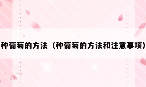 种葡萄的方法（种葡萄的方法和注意事项）
