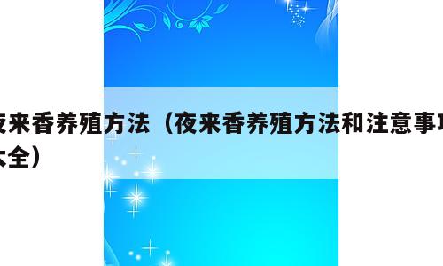 夜来香养殖方法（夜来香养殖方法和注意事项大全）