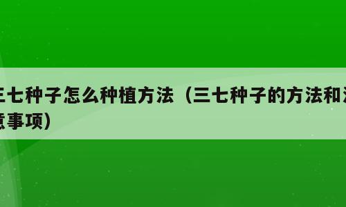 三七种子怎么种植方法（三七种子的方法和注意事项）