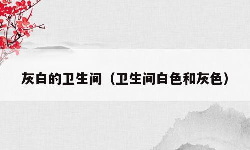 灰白的卫生间（卫生间白色和灰色）