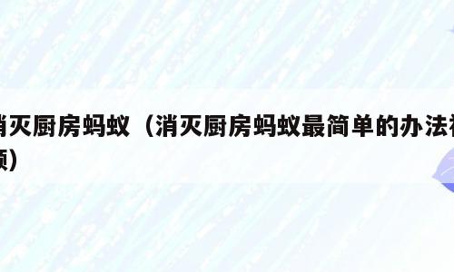 消灭厨房蚂蚁（消灭厨房蚂蚁最简单的办法视频）