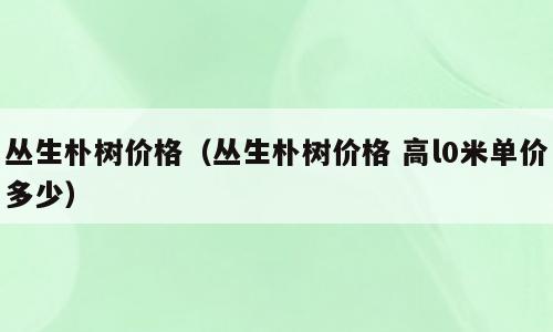丛生朴树价格（丛生朴树价格 高l0米单价多少）