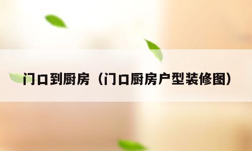 门口到厨房（门口厨房户型装修图）