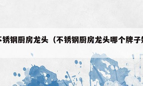 不锈钢厨房龙头（不锈钢厨房龙头哪个牌子好）