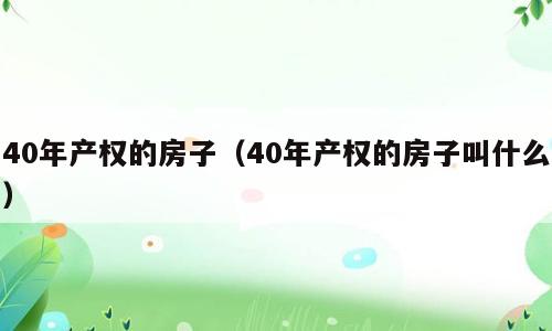 40年产权的房子（40年产权的房子叫什么）