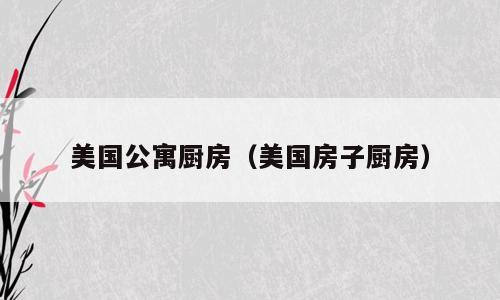 美国公寓厨房（美国房子厨房）