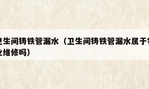 卫生间铸铁管漏水（卫生间铸铁管漏水属于物业维修吗）