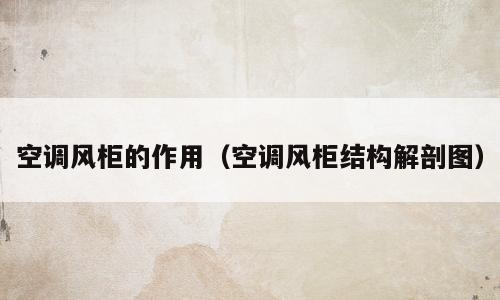 空调风柜的作用（空调风柜结构解剖图）
