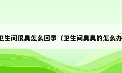卫生间很臭怎么回事（卫生间臭臭的怎么办）
