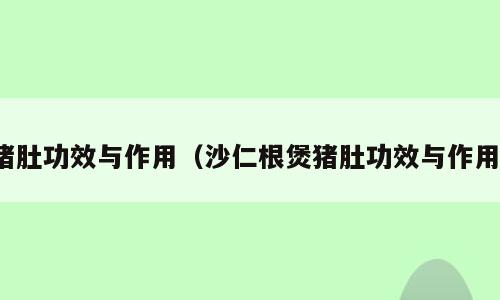 猪肚功效与作用（沙仁根煲猪肚功效与作用）