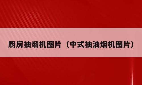 厨房抽烟机图片（中式抽油烟机图片）