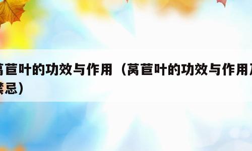莴苣叶的功效与作用（莴苣叶的功效与作用及禁忌）