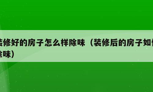 装修好的房子怎么样除味（装修后的房子如何除味）