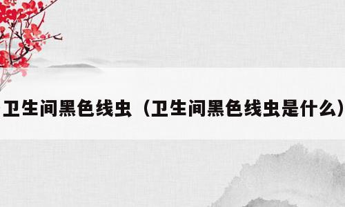 卫生间黑色线虫（卫生间黑色线虫是什么）