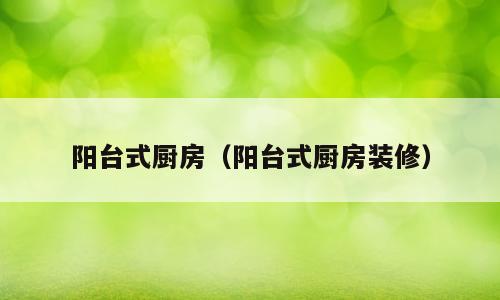 阳台式厨房（阳台式厨房装修）