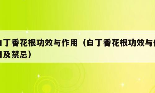白丁香花根功效与作用（白丁香花根功效与作用及禁忌）