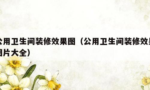公用卫生间装修效果图（公用卫生间装修效果图片大全）