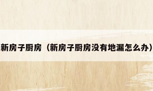 新房子厨房（新房子厨房没有地漏怎么办）
