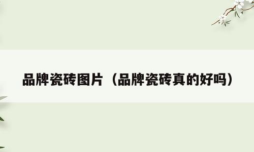 品牌瓷砖图片（品牌瓷砖真的好吗）