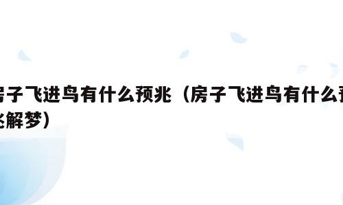 房子飞进鸟有什么预兆（房子飞进鸟有什么预兆解梦）