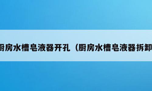 厨房水槽皂液器开孔（厨房水槽皂液器拆卸）