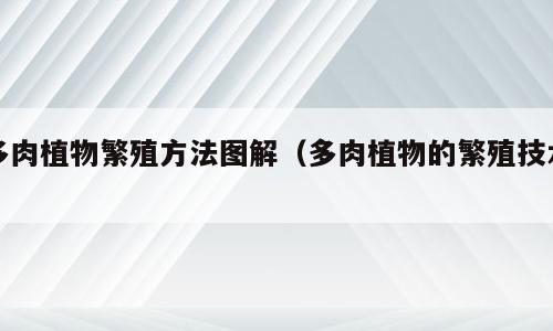 多肉植物繁殖方法图解（多肉植物的繁殖技术）