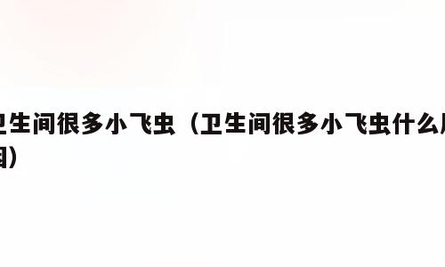 卫生间很多小飞虫（卫生间很多小飞虫什么原因）