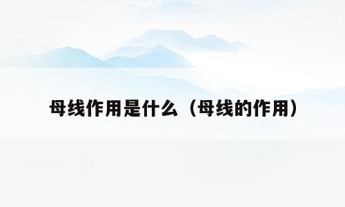 母线作用是什么（母线的作用）