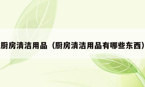 厨房清洁用品（厨房清洁用品有哪些东西）