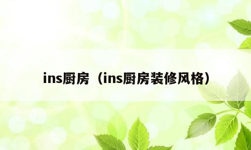 ins厨房（ins厨房装修风格）