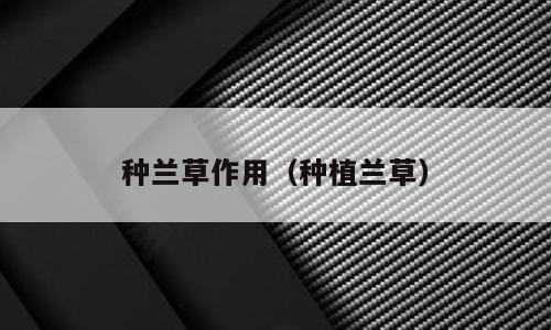 种兰草作用（种植兰草）