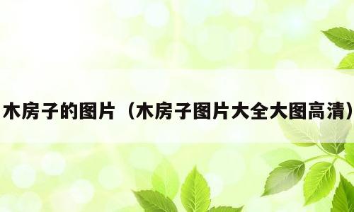 木房子的图片（木房子图片大全大图高清）