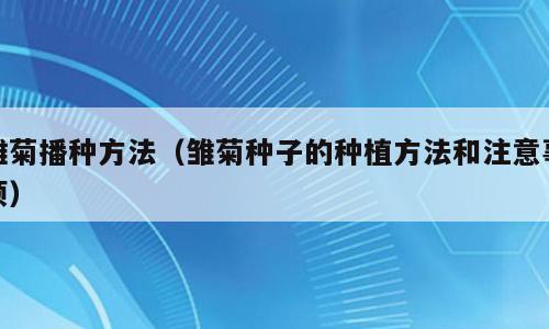 雏菊播种方法（雏菊种子的种植方法和注意事项）