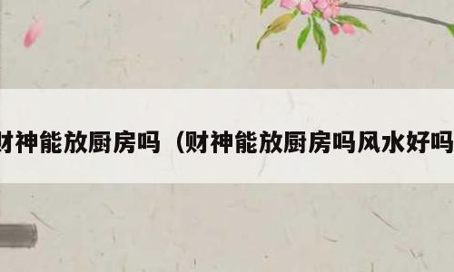 财神能放厨房吗（财神能放厨房吗风水好吗）