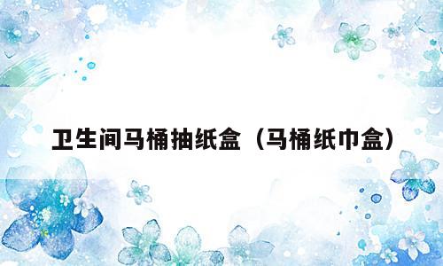 卫生间马桶抽纸盒（马桶纸巾盒）
