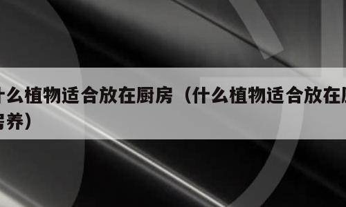 什么植物适合放在厨房（什么植物适合放在厨房养）