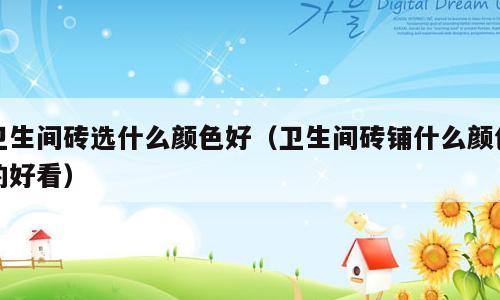 卫生间砖选什么颜色好（卫生间砖铺什么颜色的好看）