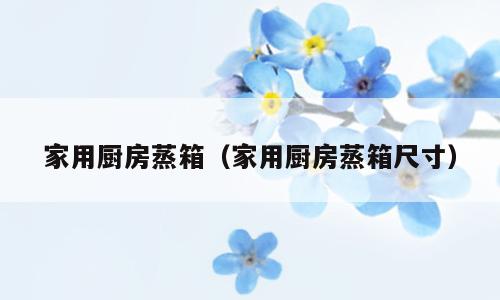 家用厨房蒸箱（家用厨房蒸箱尺寸）